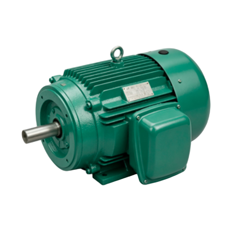 NEMA Oil Well Pump Motor