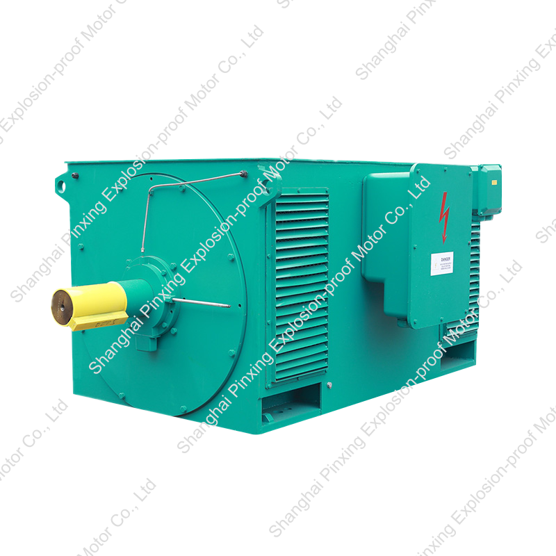 Y Series High-Voltage Three Phase Induction Motor (H:355-1000mm)