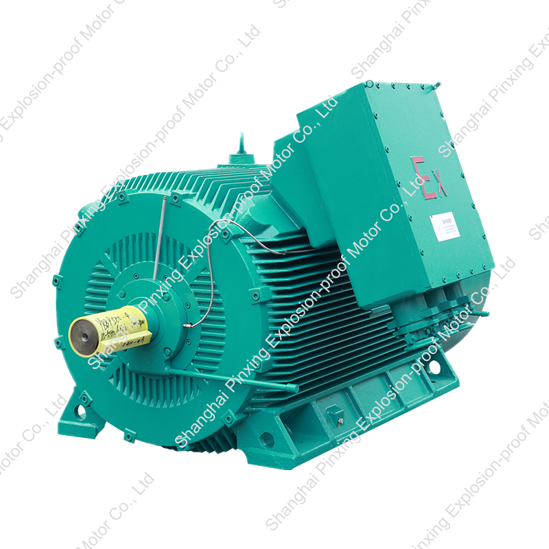 VFD Type Explosion-Proof Motor