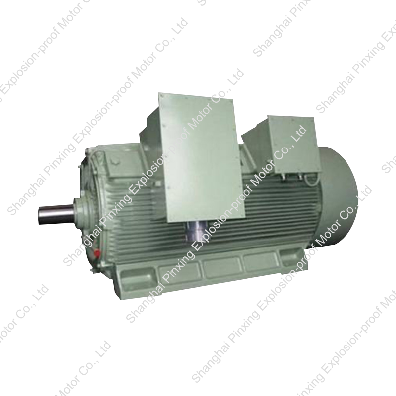 Y2 Series High-Voltage Three Phase Induction Motor (H:355-630mm)