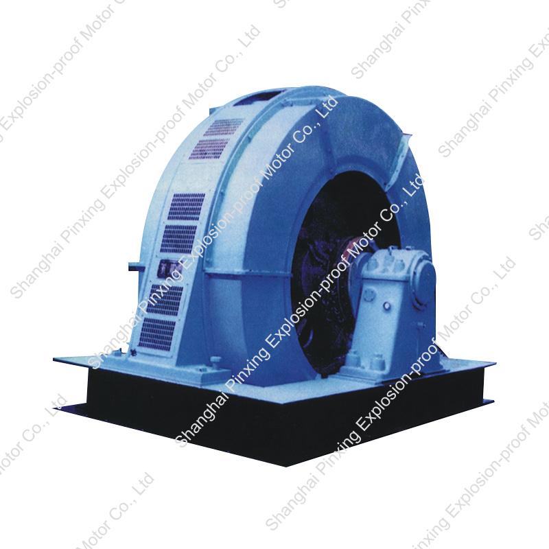 T series three-Phase Synchronous Induction Motor