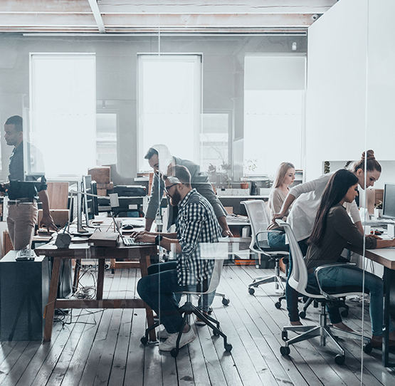 Shanghai Pinxing Explosion-proof Motor Co., Ltd.